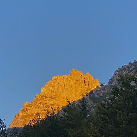 Guesthouse Rexhepi, Valbone Bajram Curri Kültér fotó