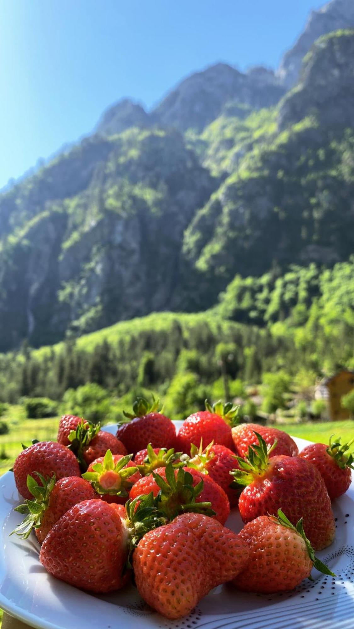 Guesthouse Rexhepi, Valbone Bajram Curri Kültér fotó